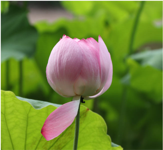 衢州学院校园风光